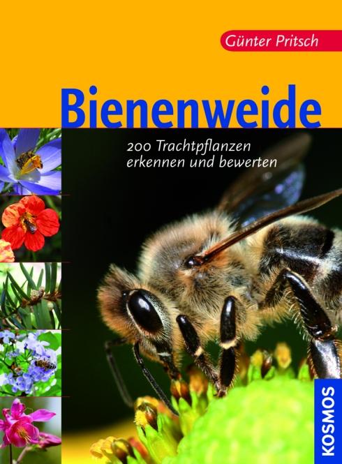 Bienenweide.