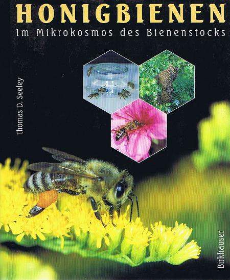 Honigbienen